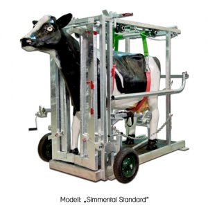 Klauenpflegestand Simmental