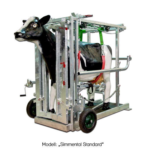 klauenpflegestand-simmental-standard-stalleinrichtung24